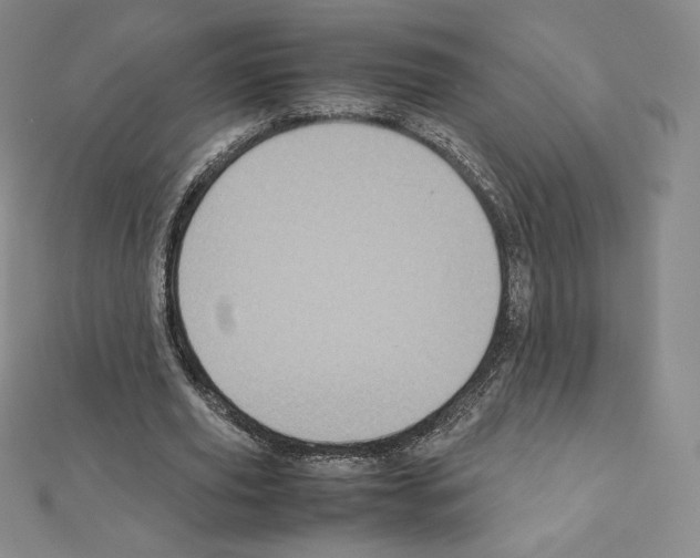 X0000111470629200908241342