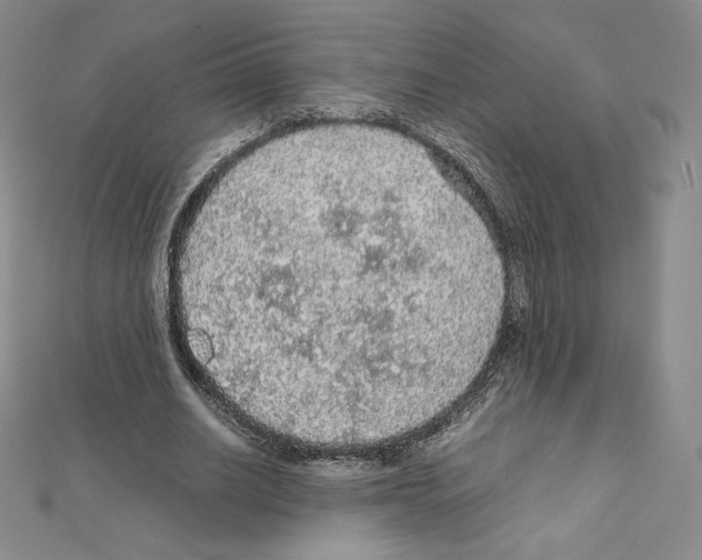 X0000111470630200908241342