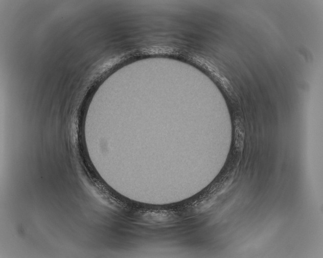 X0000111470631200908241342