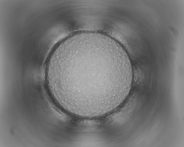 X0000111470632200908241342