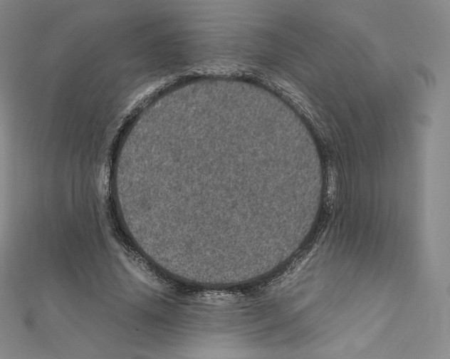 X0000111470636200908241342