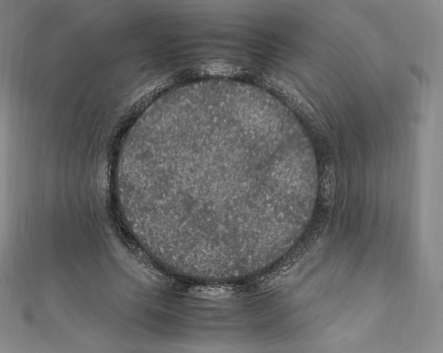 X0000111470639200908241342