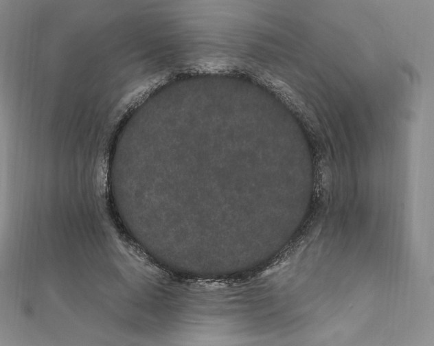 X0000111470640200908241342