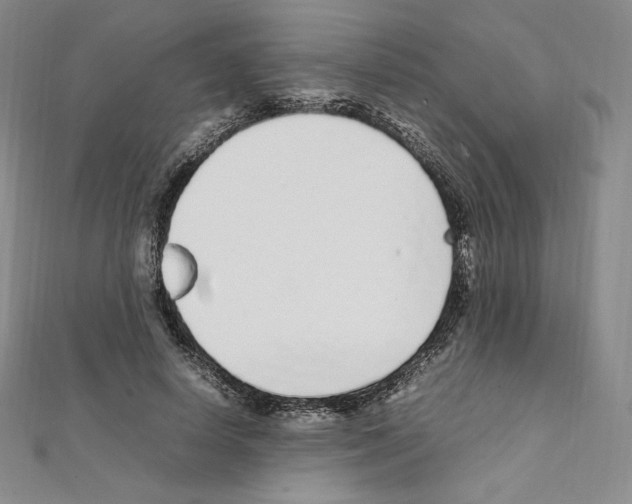 X0000111470642200908241343