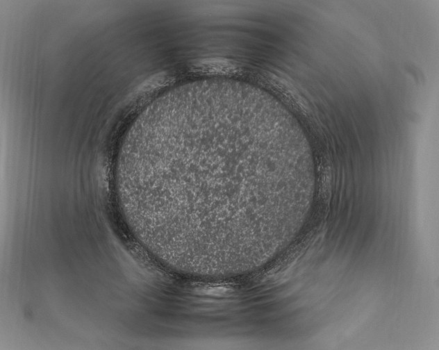 X0000111470643200908241343