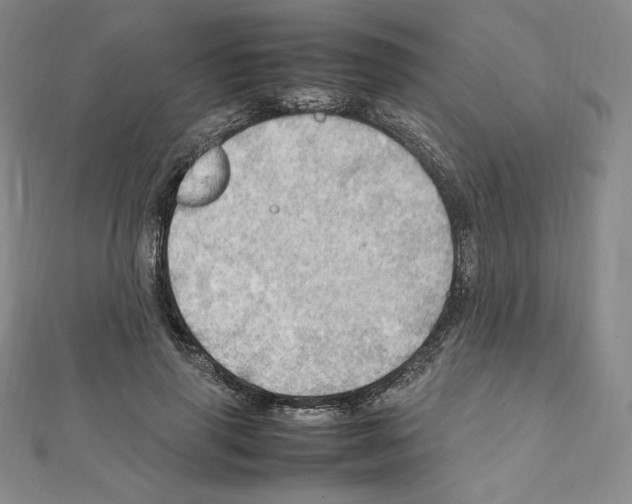 X0000111470645200908241343