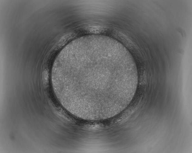 X0000111470646200908241343