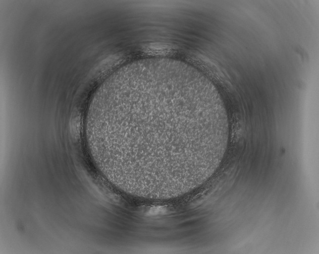 X0000111470647200908241343