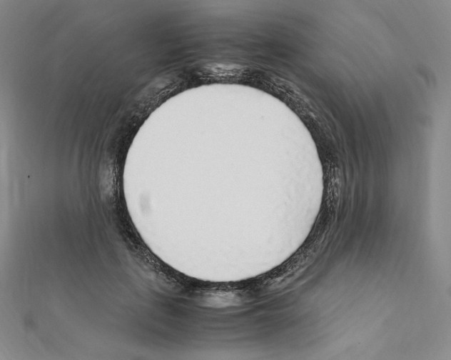 X0000111470651200908241343