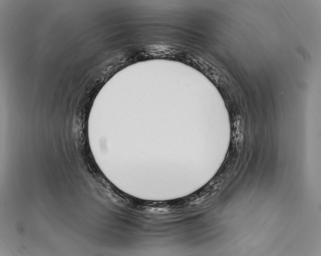 X0000111470653200908241343