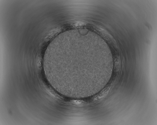 X0000111470654200908241343