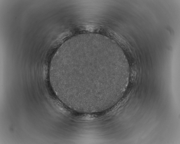 X0000111470656200908241343