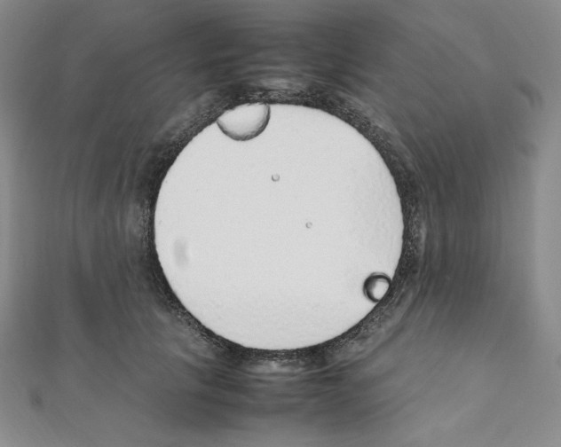 X0000111470657200908241343