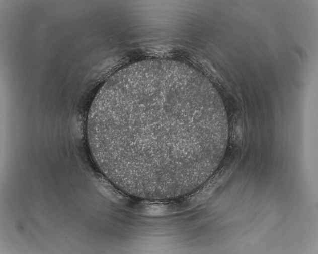 X0000111470658200908241343