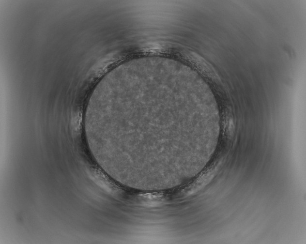 X0000111470660200908241343