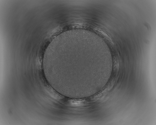 X0000111470661200908241343