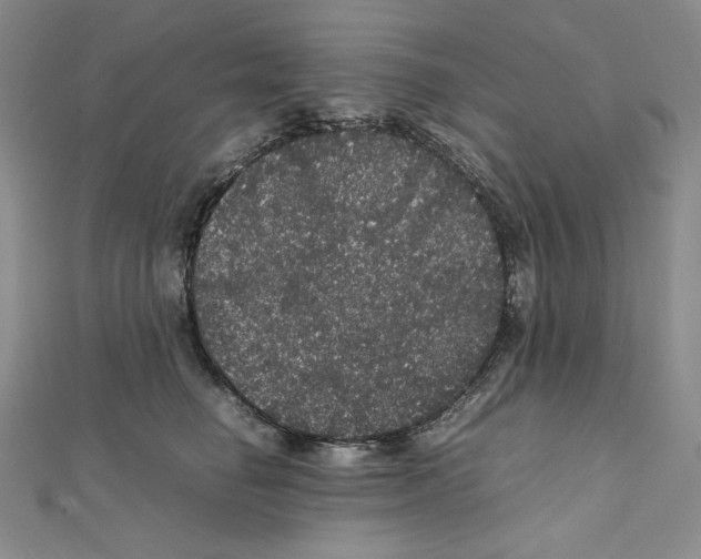 X0000111470662200908241343