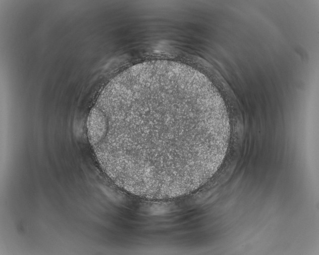 X0000111470663200908241343