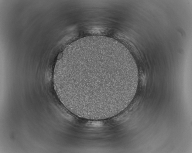 X0000111470665200908241343