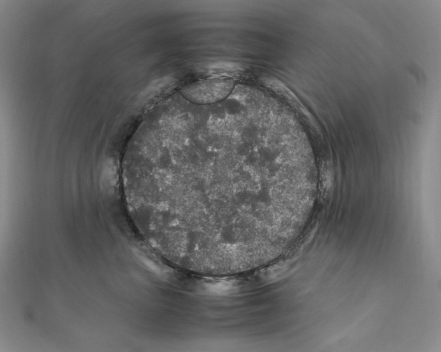 X0000111470667200908241343