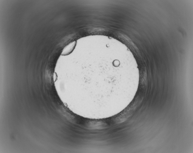 X0000111470669200908241343