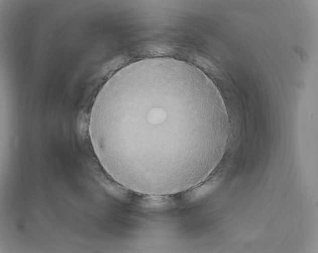 X0000111470672200908241343