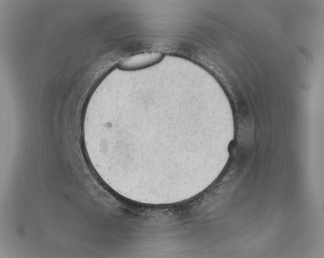 X0000111470673200908241342