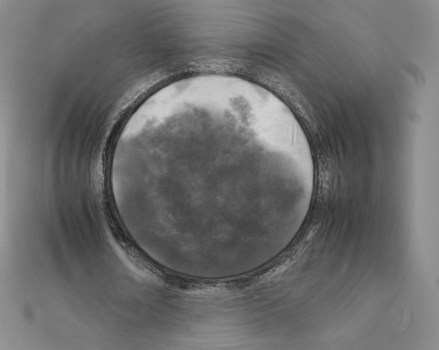 X0000111470674200908241342