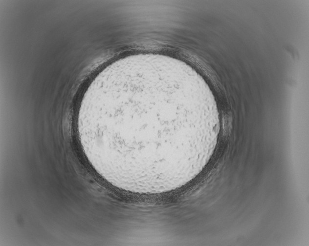 X0000111470675200908241342