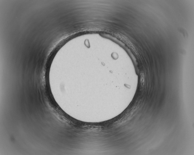 X0000111470676200908241342