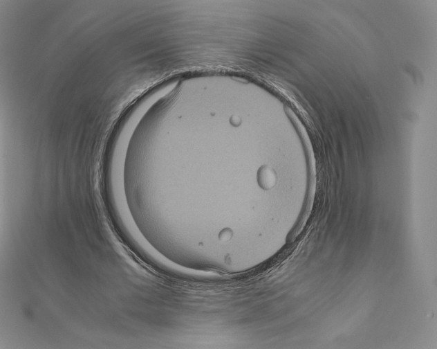 X0000111470677200908241342