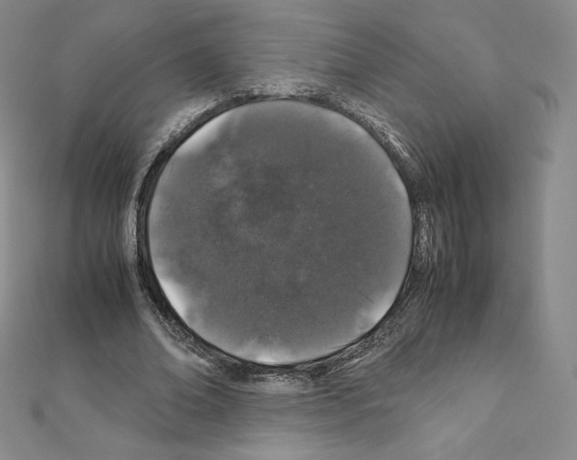 X0000111470678200908241342