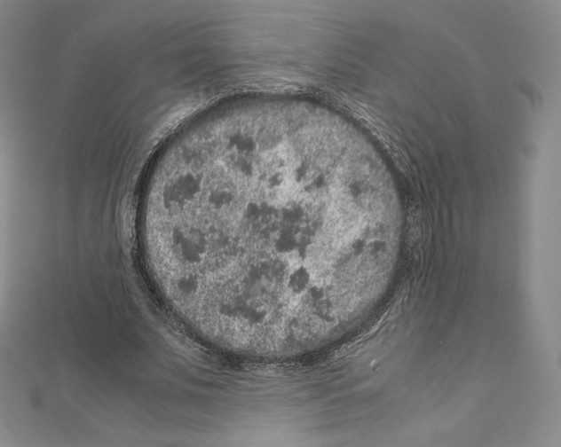 X0000111470679200908241342