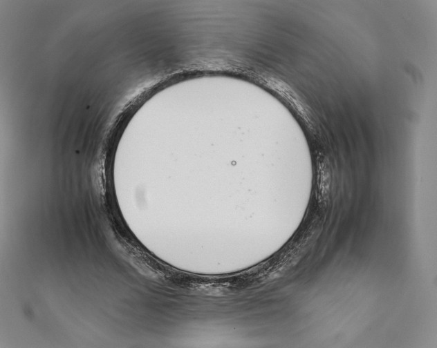 X0000111470680200908241342