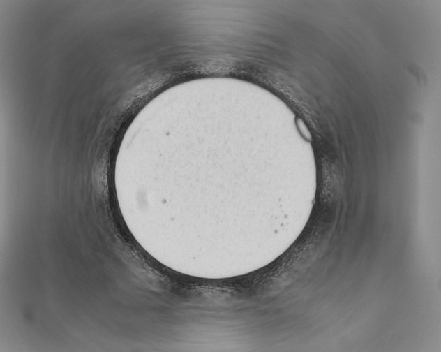 X0000111470681200908241342