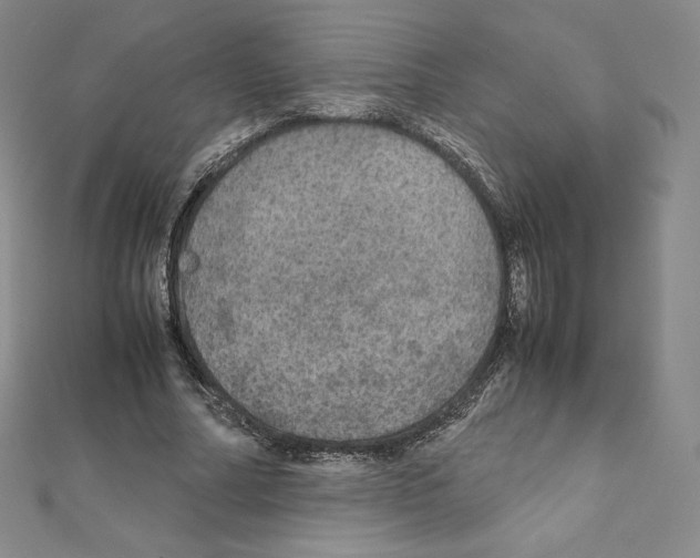 X0000111470682200908241342