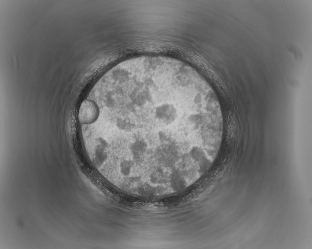 X0000111470683200908241342