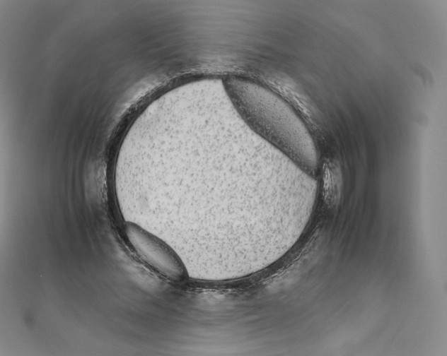 X0000111470684200908241342