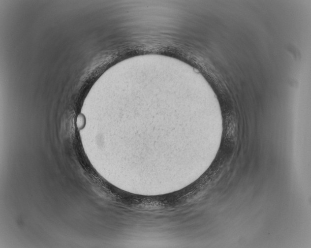 X0000111470685200908241342