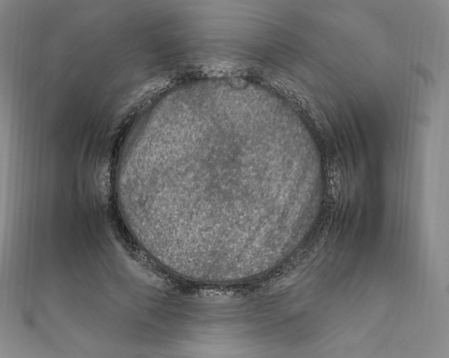 X0000111470690200908241342