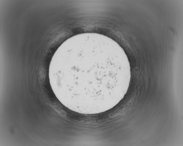 X0000111470691200908241342