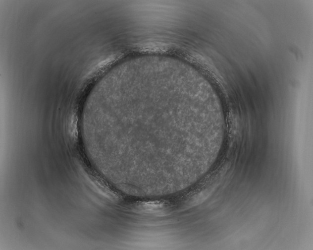 X0000111470692200908241342