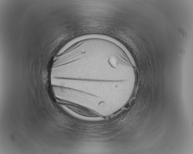 X0000111470693200908241342