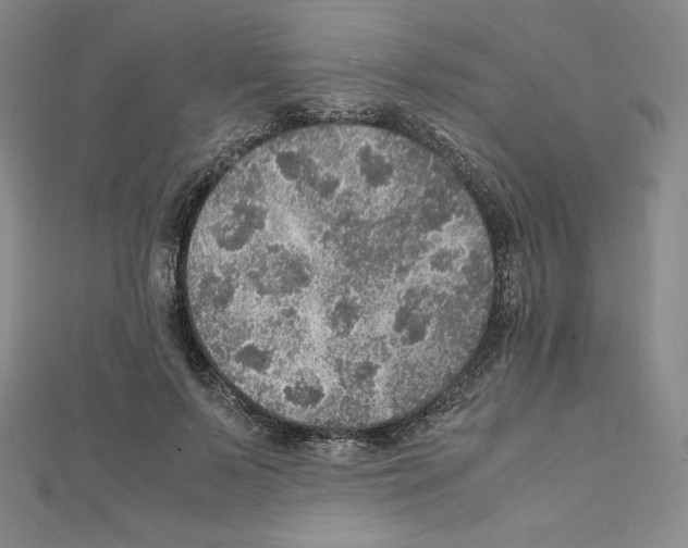 X0000111470695200908241342