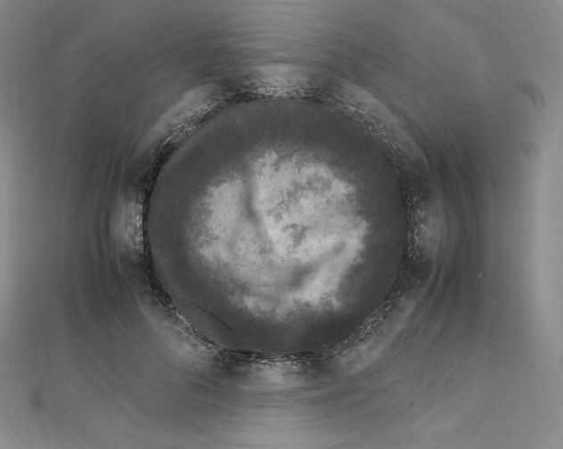 X0000111470696200908241342