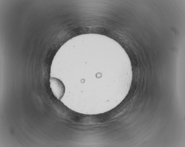 X0000111470699200908241342