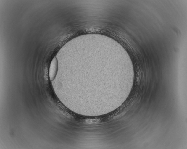 X0000111470700200908241342