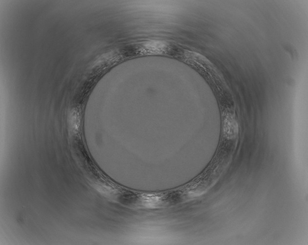 X0000111470701200908241342