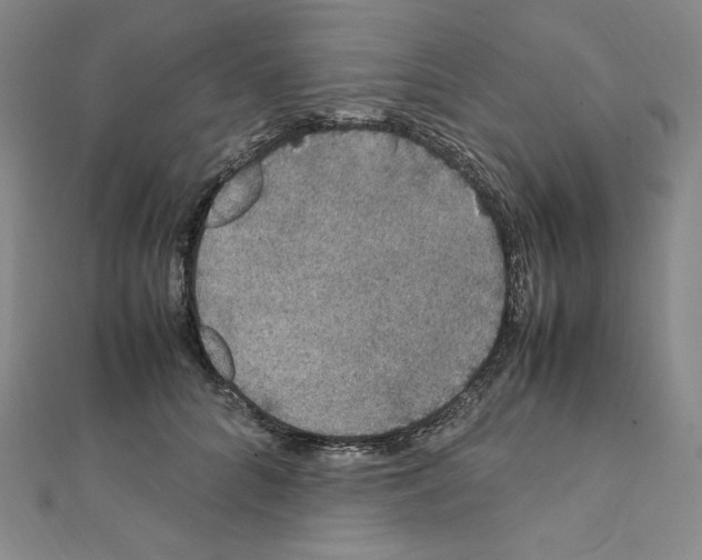 X0000111470704200908241342