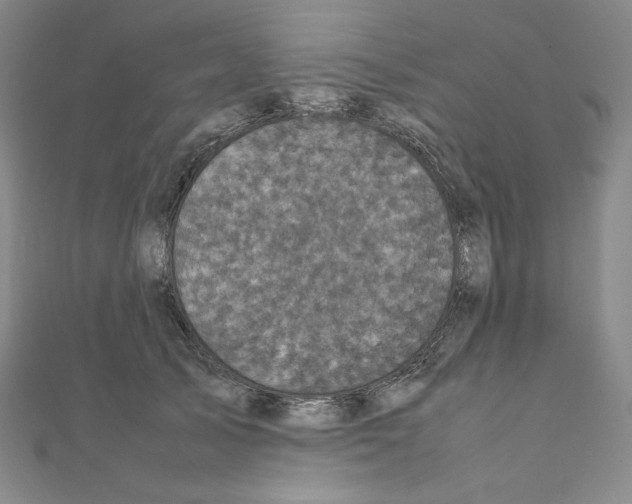 X0000111470705200908241342